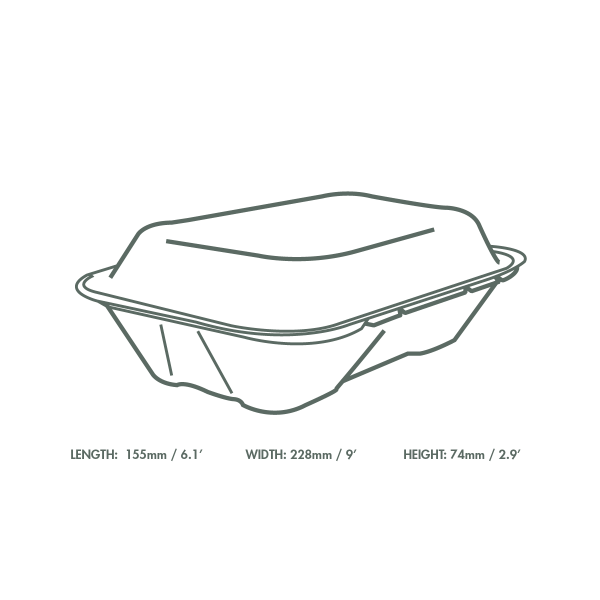 Bagasse box 9" x 6"